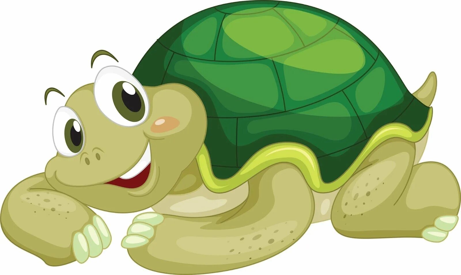 Черепаха тортилла картинки для детей. Черепаха Тортилла. Черепаха мультяшная. Черепашка на прозрачном фоне. Мультяшная черепаха на белом фоне.