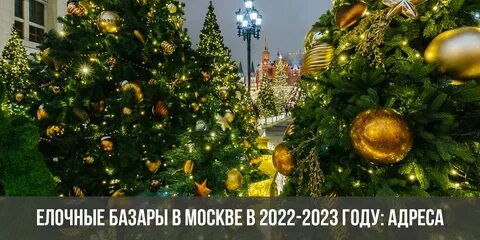 Елочные базары в москве 2023 когда