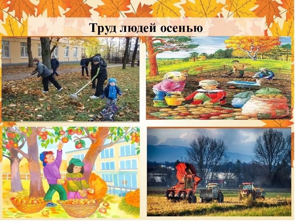 Занятие в подготовительной группе труд людей осенью