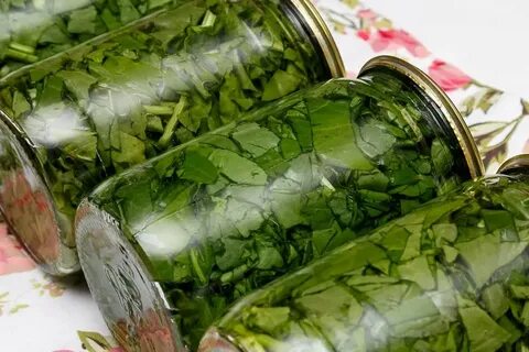 Базилик заготовка на зиму рецепты