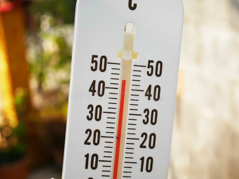 Show temperature. Температура вектор. Five ways you can fight climate change. Vostok ice core. 9.