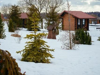 Фишерикс в овечкино