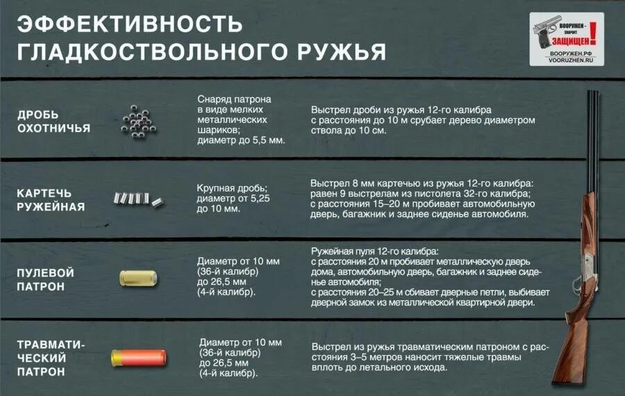 Сколько оружия можно иметь. Виды калибров патронов для охотничьего ружья. Патрон на дальность 12 калибра. Характеристики охотничьих ружей и карабинов 12 калибра. Патрон для оружие 12 калибра для охоты.