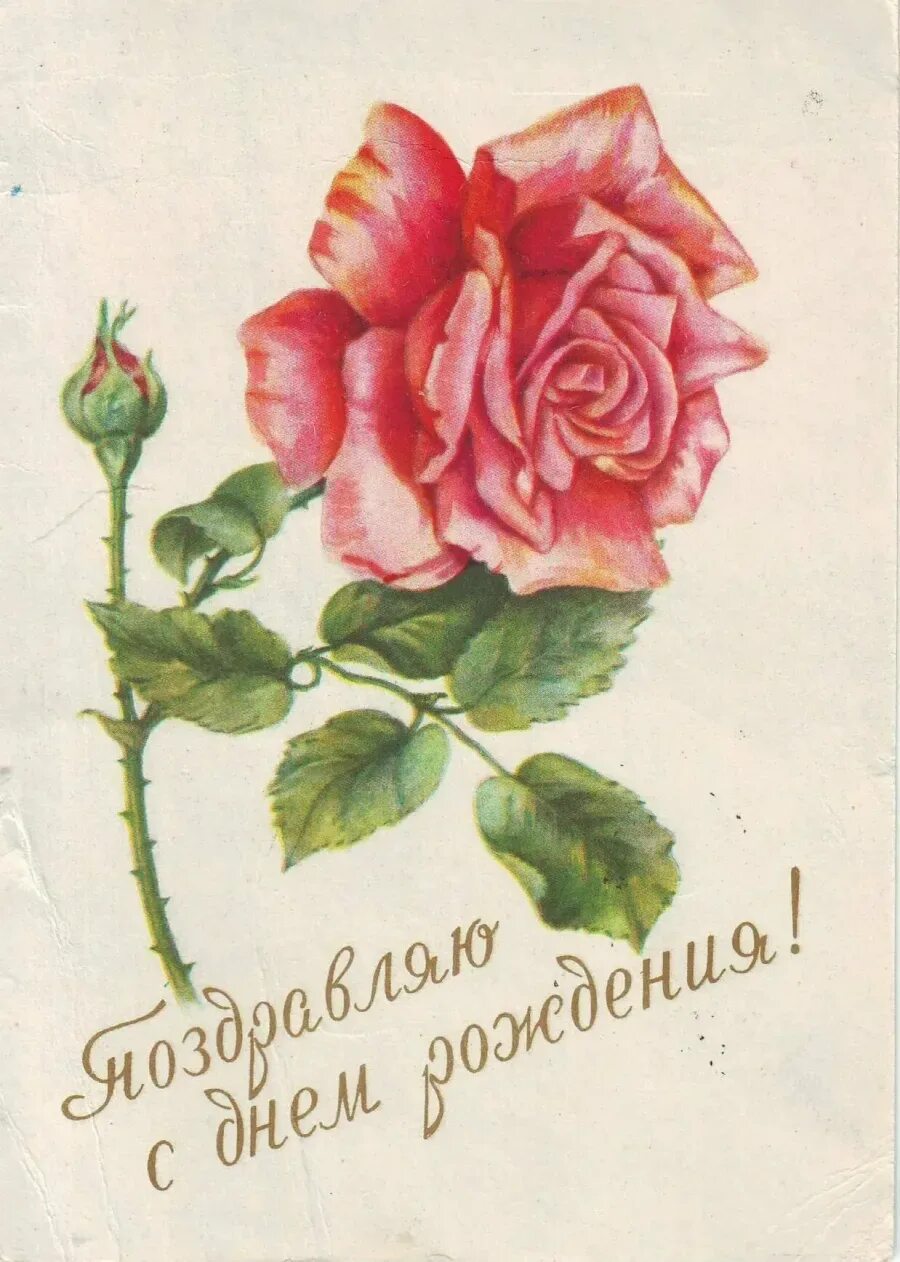 Стильное поздравление с днем рождения. С днём рождения женщине красивые поздравления нежные. С днем рождения женщиг. Скромное поздравление. Поздравления с днём рождения.