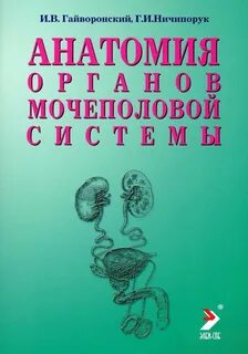 Горяев мочеполовая система