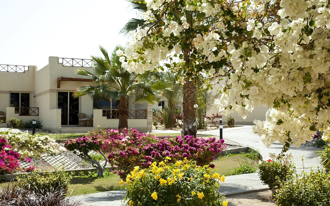 Coral rotana resort. Отель Coral Beach Resort Hurghada. Отель Корал Бич Хургада Египет. Ротана Хургада отель Корал Бич. Coral Beach Resort 4 Хургада.