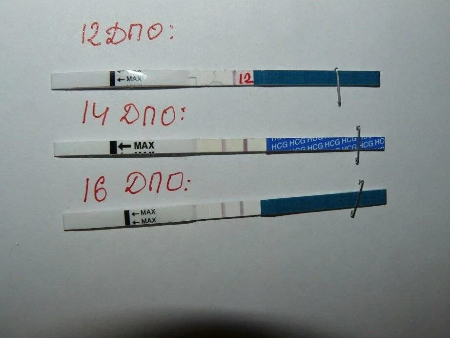 Три дня до задержки полоска призрак. После медикаментозного аборта тест показывает две полоски. Тест после медикаментозного прерывания. Две полоски после медикаментозного. Две полоски после медикаментозного.