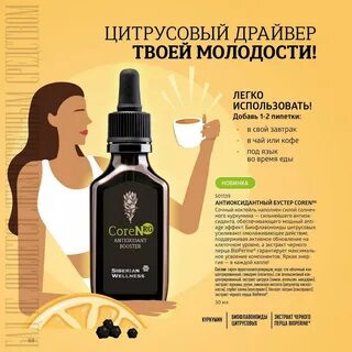 Каталог сибирского здоровья на 2024 год