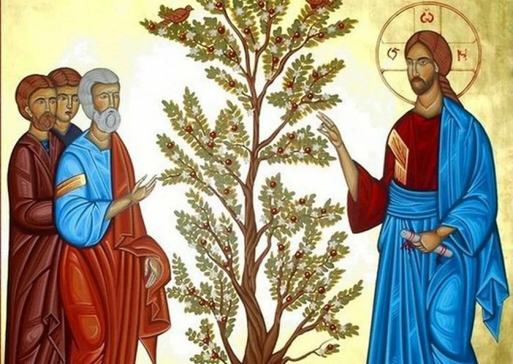 Притча о горчичном зерне. Смоковница евангелие. притча о смоковнице икона. святой закхей. проклятие смоковницы.