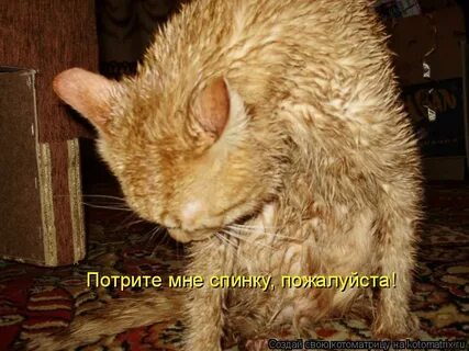 Потирая или потерая