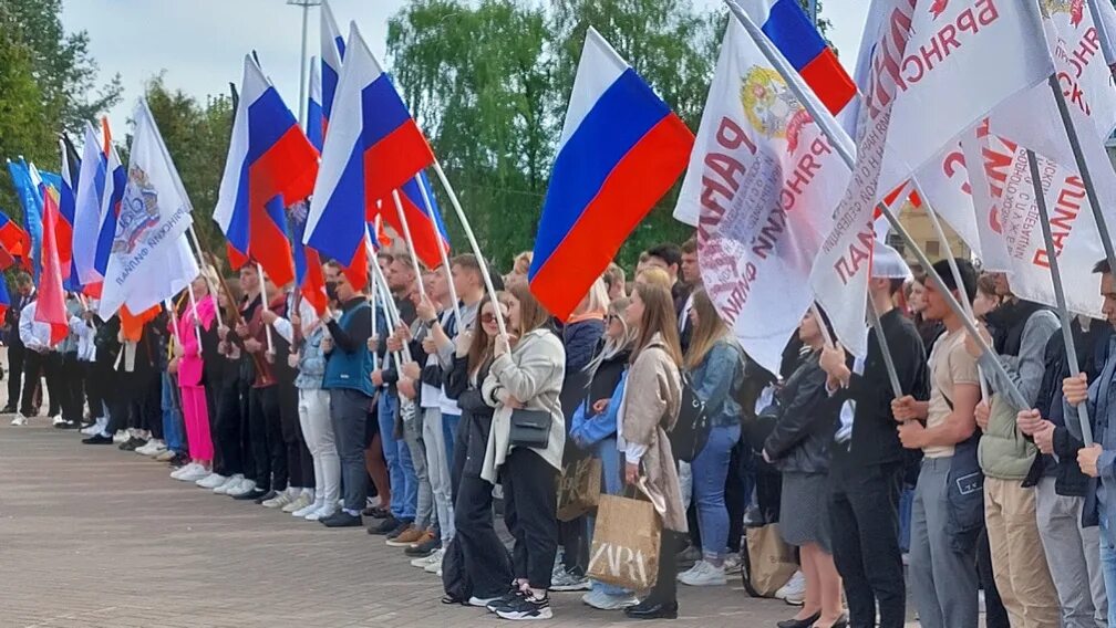 Всероссийское движение школы. Молодежное движение. Молодежные движения в России. Российское движение молодежи. Русская молодежь.