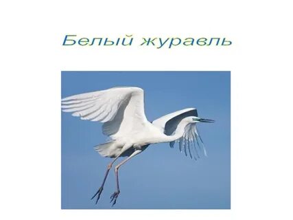 Презентация белые журавли для детей