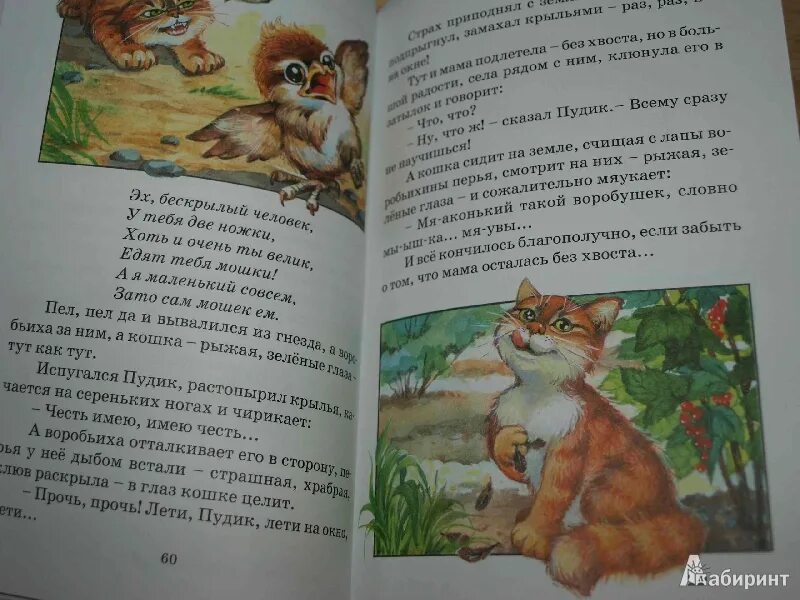 Рассказ про щенка. Мама и пес рассказ. Каштановка собака рассказ. Зарисовки играющие собаки. Детские рассказы про собак.