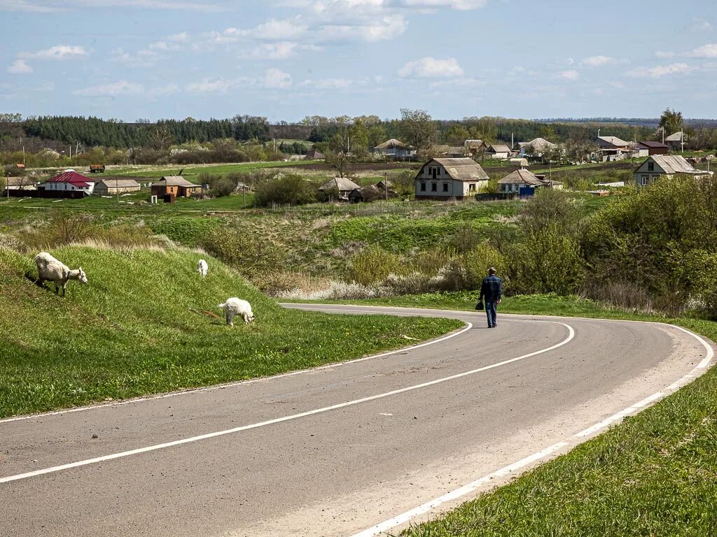 Село Журавлевка Белгородская. Приграничные села Белгородской области. Журавлевка и Нехотеевка Белгородская область. Село Журавлевка Белгородской области ферма.