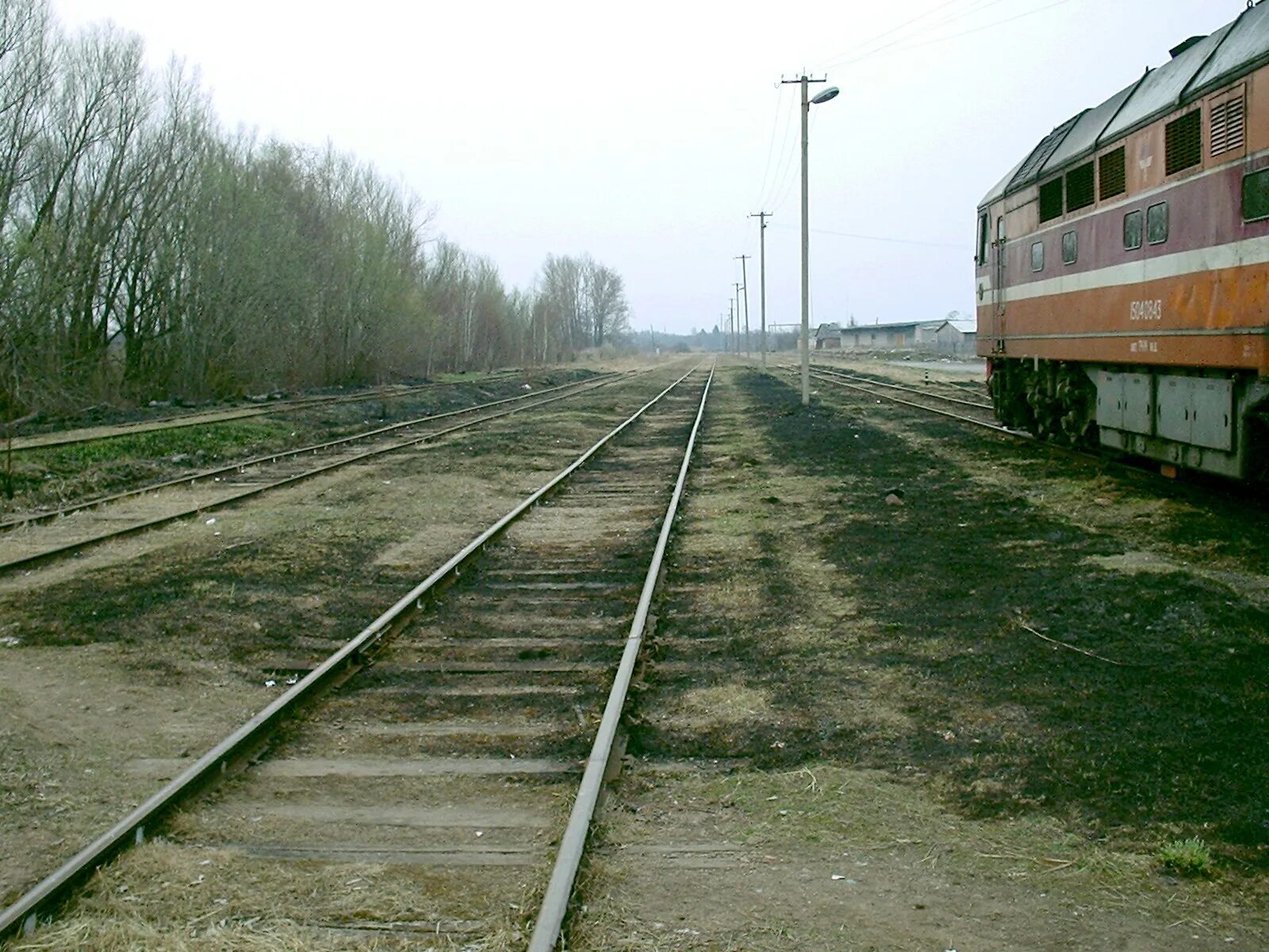 Петербург гдов. Железная дорога сланцы Гдов. ЖД станция Гдов. Станция Веймарн. Поезд Веймарн Гдов.