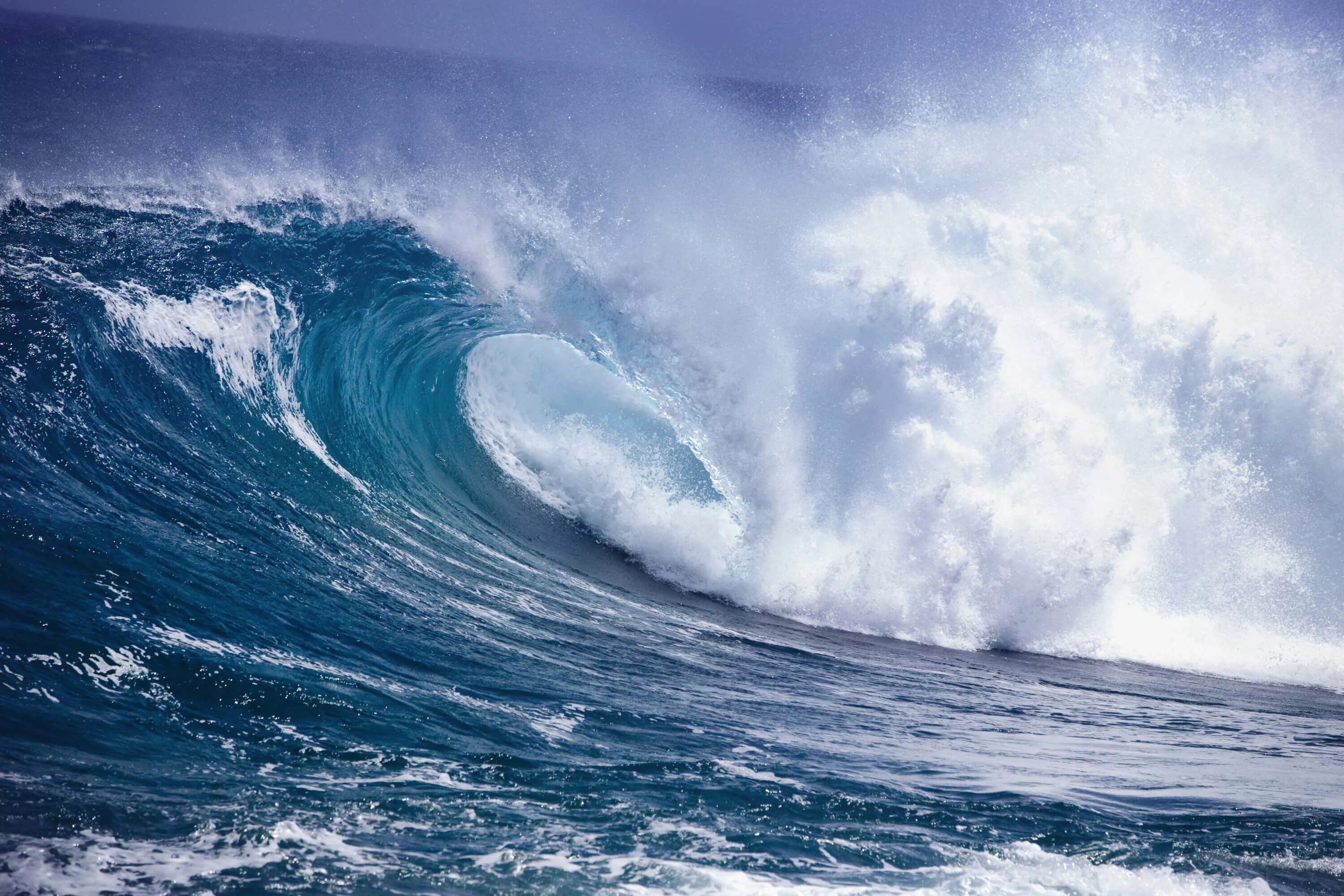 Wave wave на пк