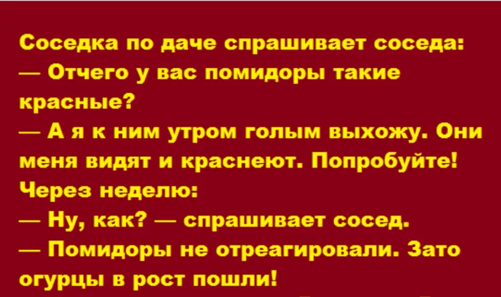 Жена соседа попросила. Анекдот соседка по даче спрашивает. Сосед сол спросить. Соседка спрашивает у другой как у тебя краснеют помидоры.