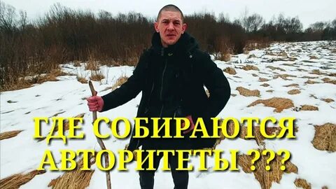 Шаман и лебедь