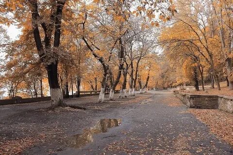 Ростовская осень