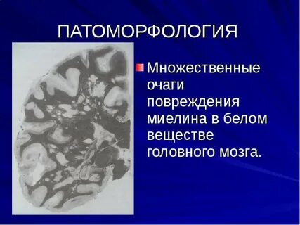 Патоморфология