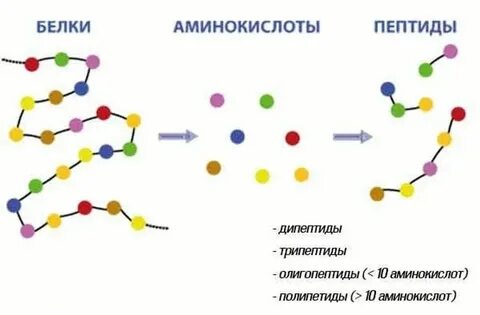 Подтягивающие пептиды