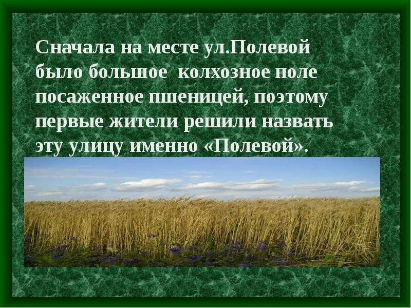 Стихи о полях колхозных. Колхозное поле слова. Поле для текста. Скажи председатель песня текст. Стихотворение амбар.