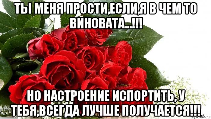 Прости меня. Прости я знаю виновата. Я очень виновата перед тобой. Прости я знаю виновата. Прости меня я виновата.