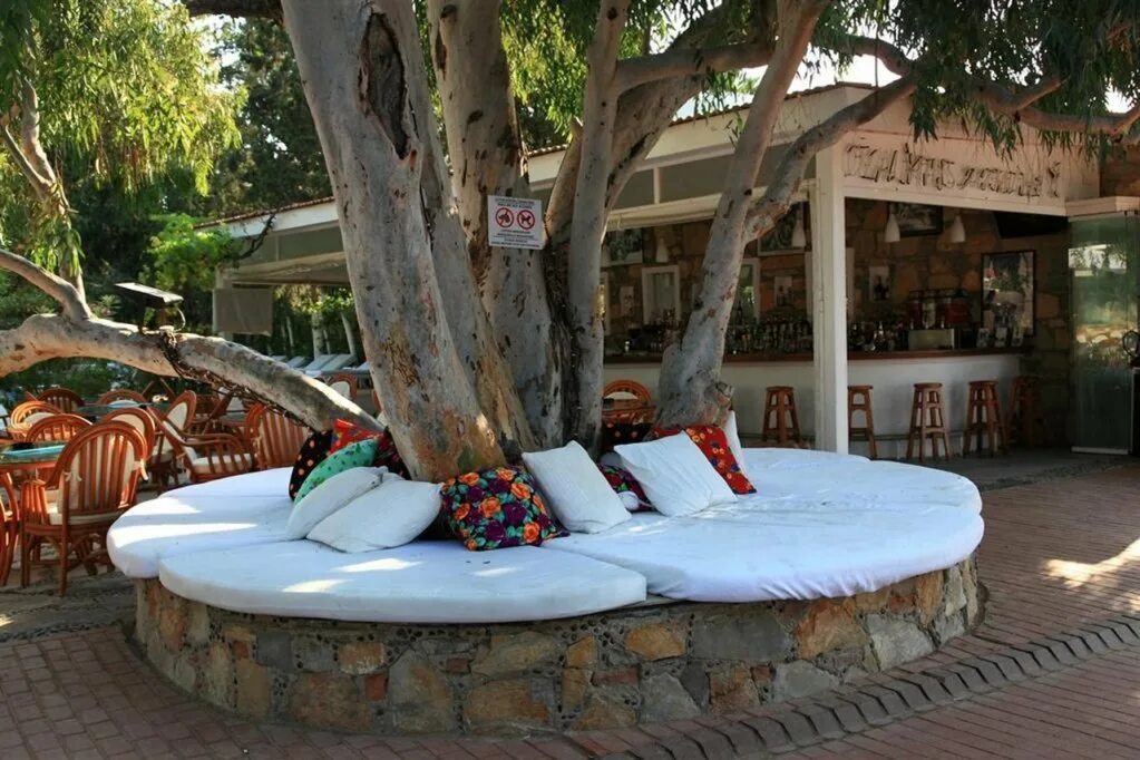 Okaliptus hotel 4 турция бодрум фото. Битез гарден лайф отель бодрум. Okaliptus hotel. Okaliptus hotel. Okaliptus hotel 4 турция бодрум фото.