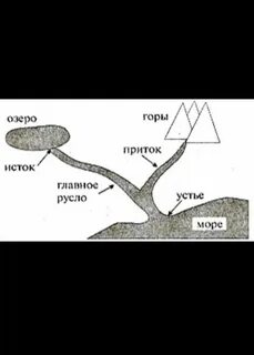 Река цифра
