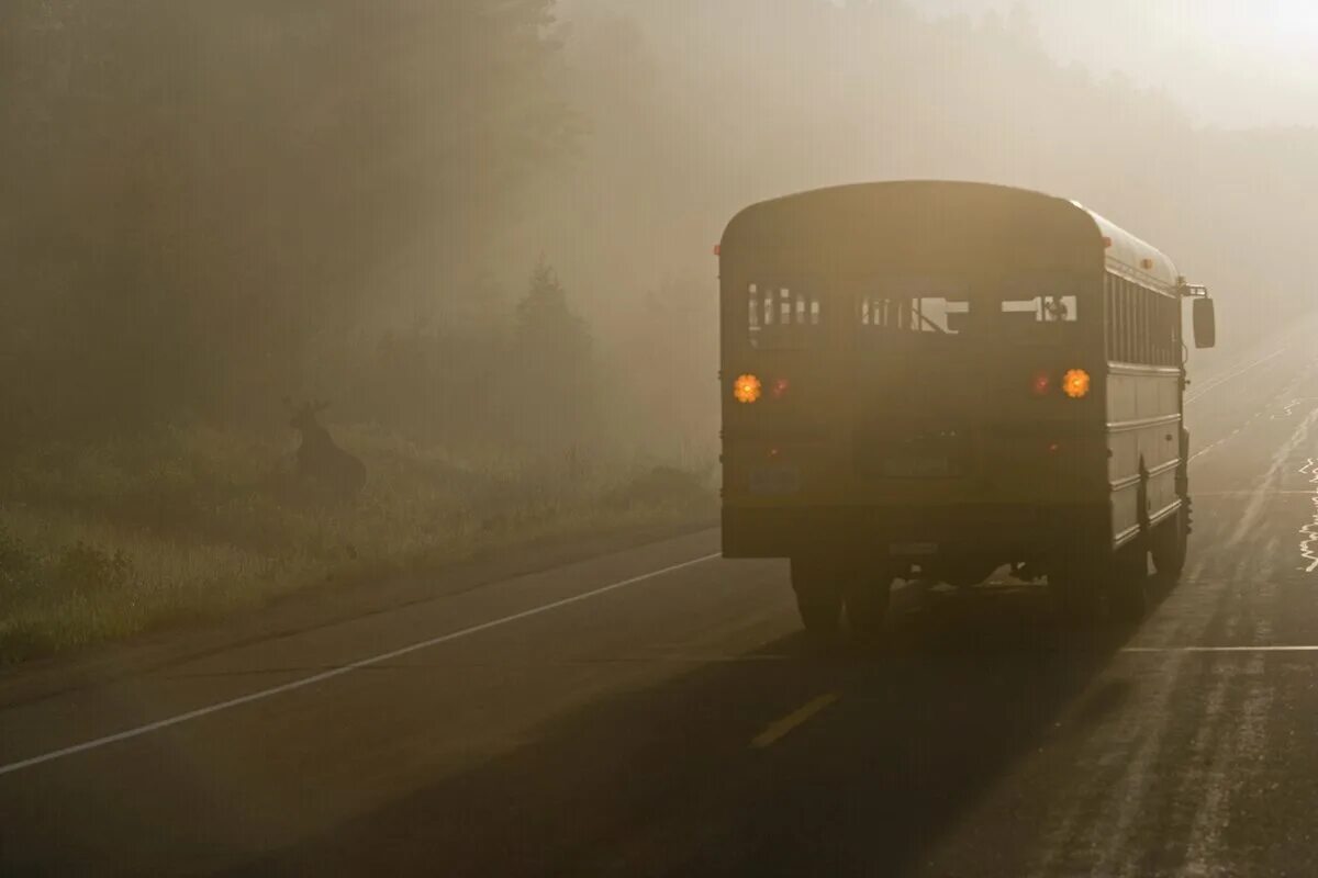 Автобус едет в горы. Автобус в тумане. Уезжающий автобус. Автобус на дороге. Мрачный автобус.