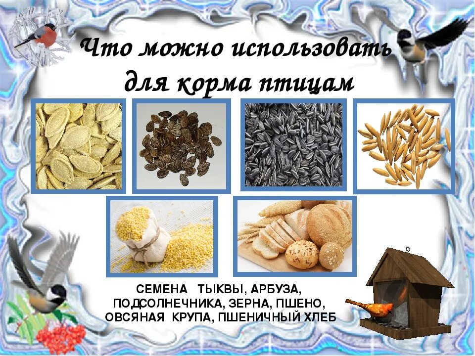 Каким кормом можно подкармливать птиц зимой. Корм для зимующих птиц. корм для птиц в кормушку зимой. корм для зимующих птиц в кормушку. корм зимующих птицах для дошкольников.