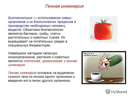 Чем отличается генетическая селекция и генная инженерия