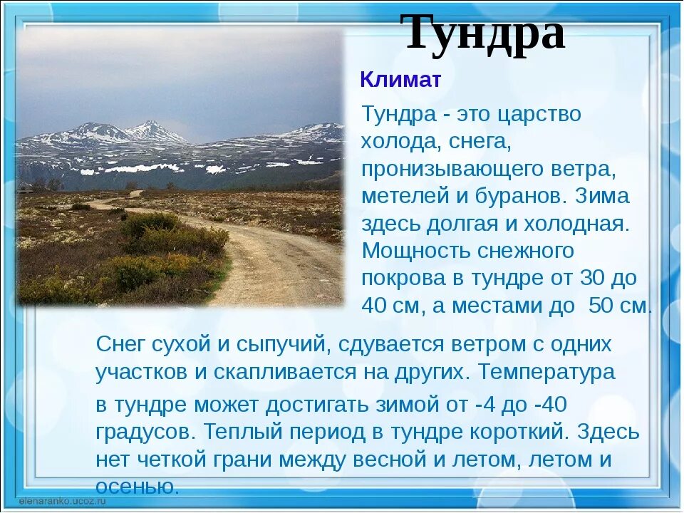Сообщение на тему тундра 4 класс