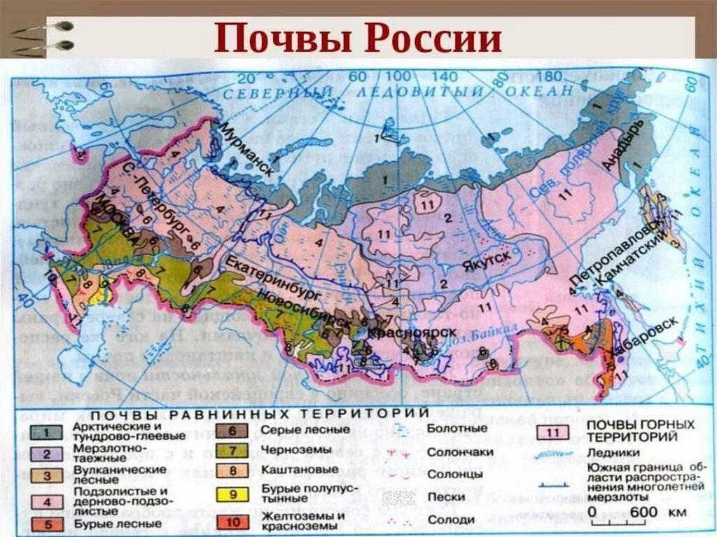 Типы почв на севере. Основные типы почв россии. основные типы почв на территории россии. основные типы почв россии на карте. основные типы почв россии на карте 8 класс.