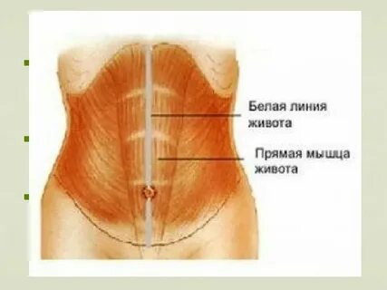 Белая линия адрес