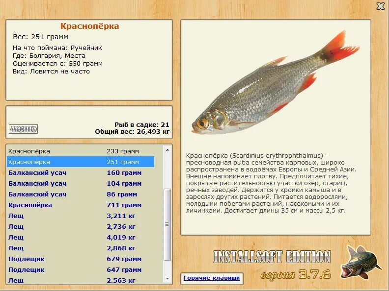 Рыбалка 3 красноперка. Русская рыбалка 3 Ахтуба подлещик. Ахтуба русская рыбалка. Русская рыбалка 3 1 красноперка. Краснопёрка рыба вес.