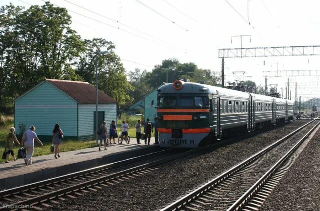 Маршрутка починок смоленск. Смоленск рудня электричка. смоленск красное электричка. колодня смоленск. рудня смоленск.