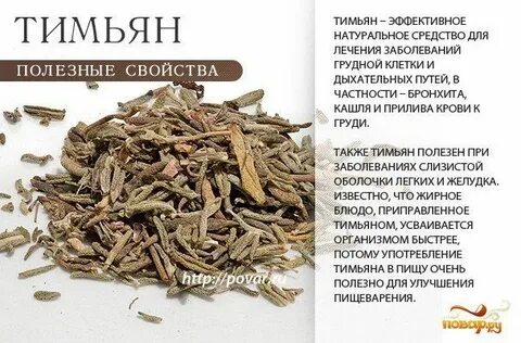 Чабрец полезные свойства в чае и противопоказания