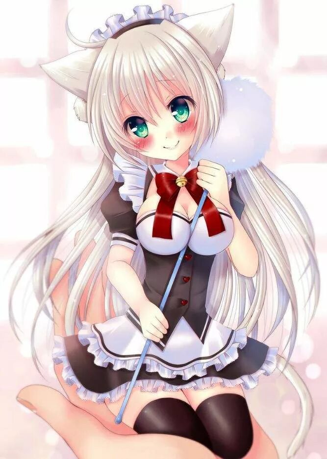 Кошко тянки. Неко тян. некко тянка. neko тянки.