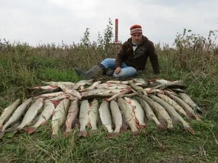 Завтра можно ловить рыбу