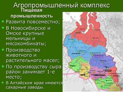 Урок западная сибирь 9 класс