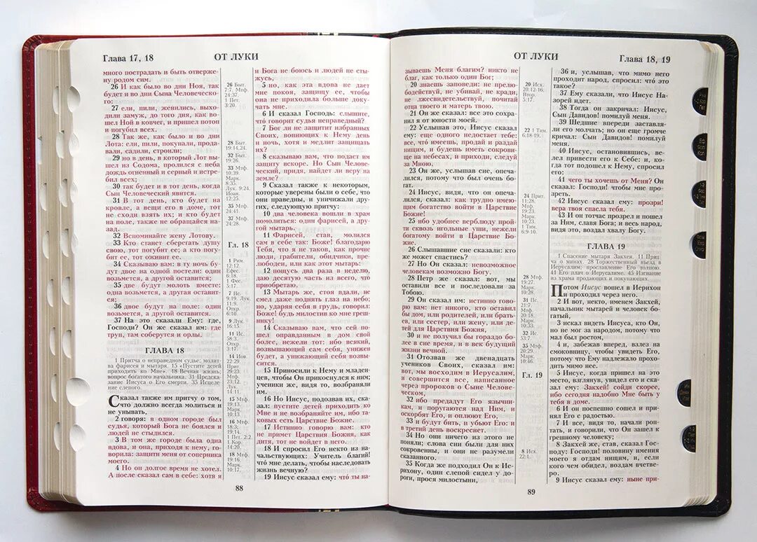 Библия с красным шрифтом. Евангелие обложка. Синодальная библия 1876. Евангелие синодальный перевод. Новый завет с зачалами никея.