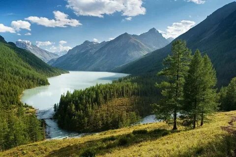 Фото с алтайского края