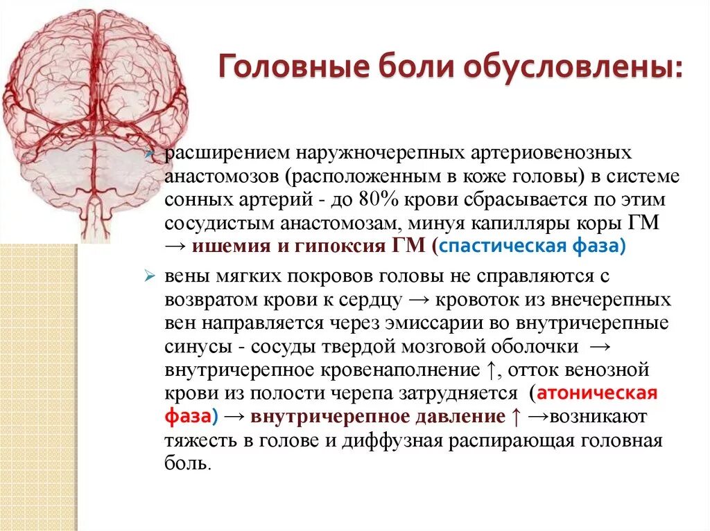 Головная боль сосуды головы. Механизм головной боли. Механизм возникновения головной боли. Голодные боли маханизм. Сосудистый механизм головной боли.