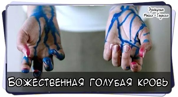 Откуда выражение голубых кровей. Откуда выражение голубых кровей