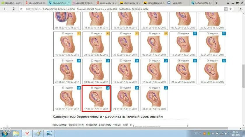 Срок беременности по последним месячным. Календарь беременности по неделям. Калькулятор беременности по неделям. Срок беременности по месяцам. Калькулятор беременности по неделям и дням.