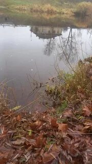 Река суров