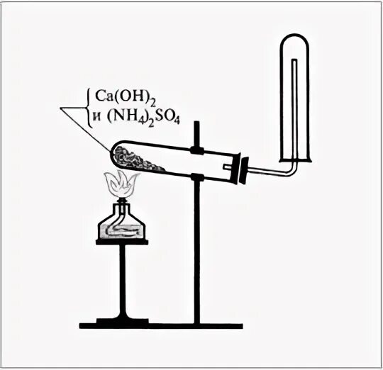 Прибор для получения аммиака в лаборатории. Получение аммиака в лаборатории рисунок. Прибор для получения аммиака рисунок. Получение аммиака рисунок.