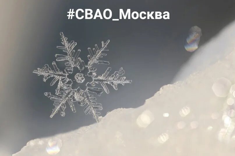 Замерзаешь как снежинка