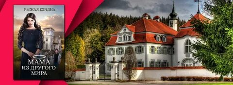 Рыжая ехидна мама из другого
